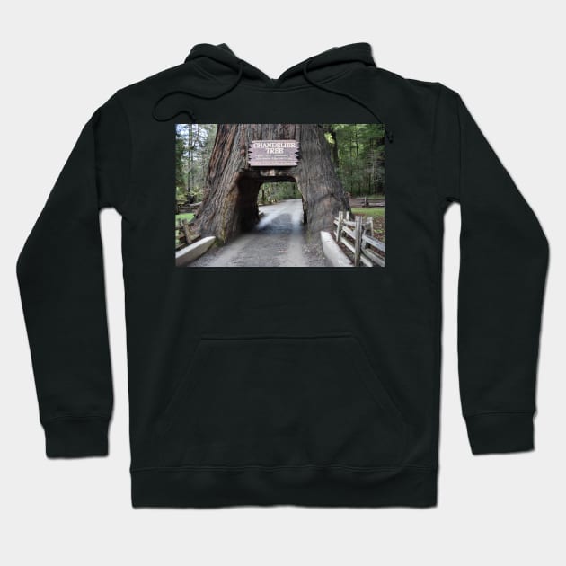 Chandelier Tree Hoodie by Ckauzmann